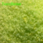 Ferrous sulphate monohydrate