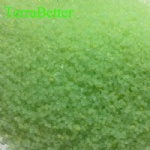 Ferrous sulphate heptahydrate
