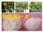 rape Hydroponic Fertilizer